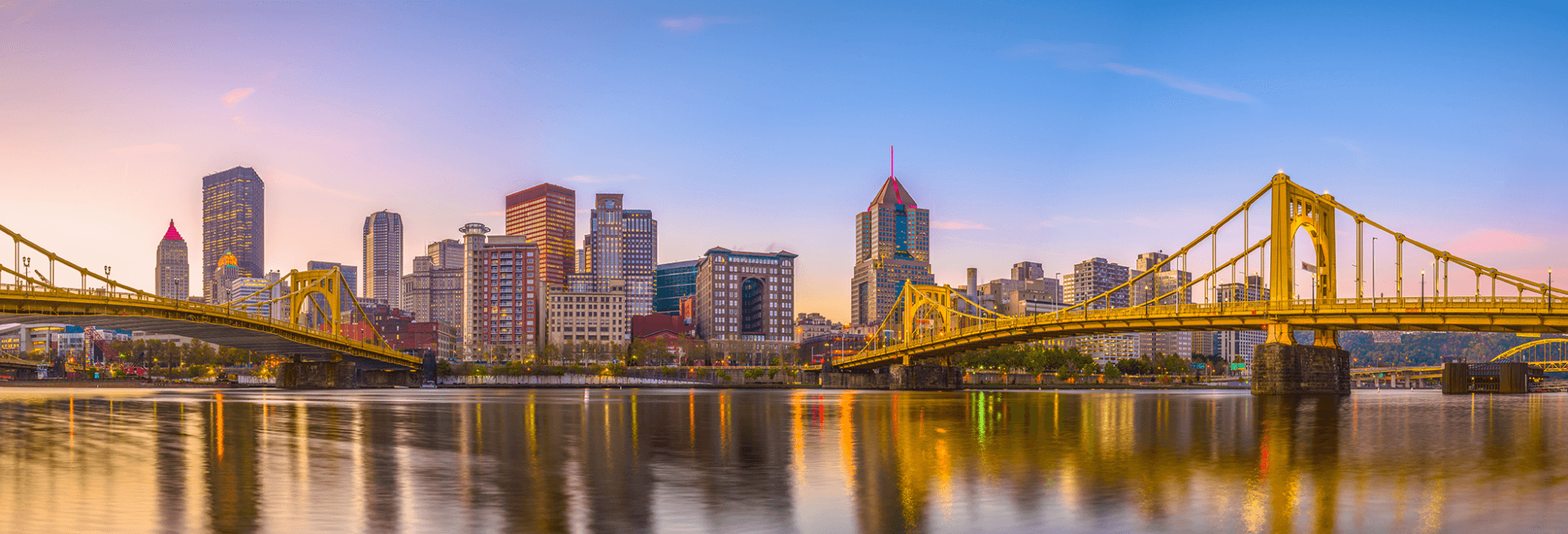 Pitt background